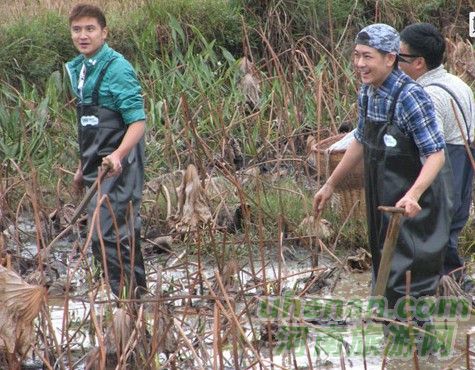 爸爸去哪兒？親密接觸荷花仙子