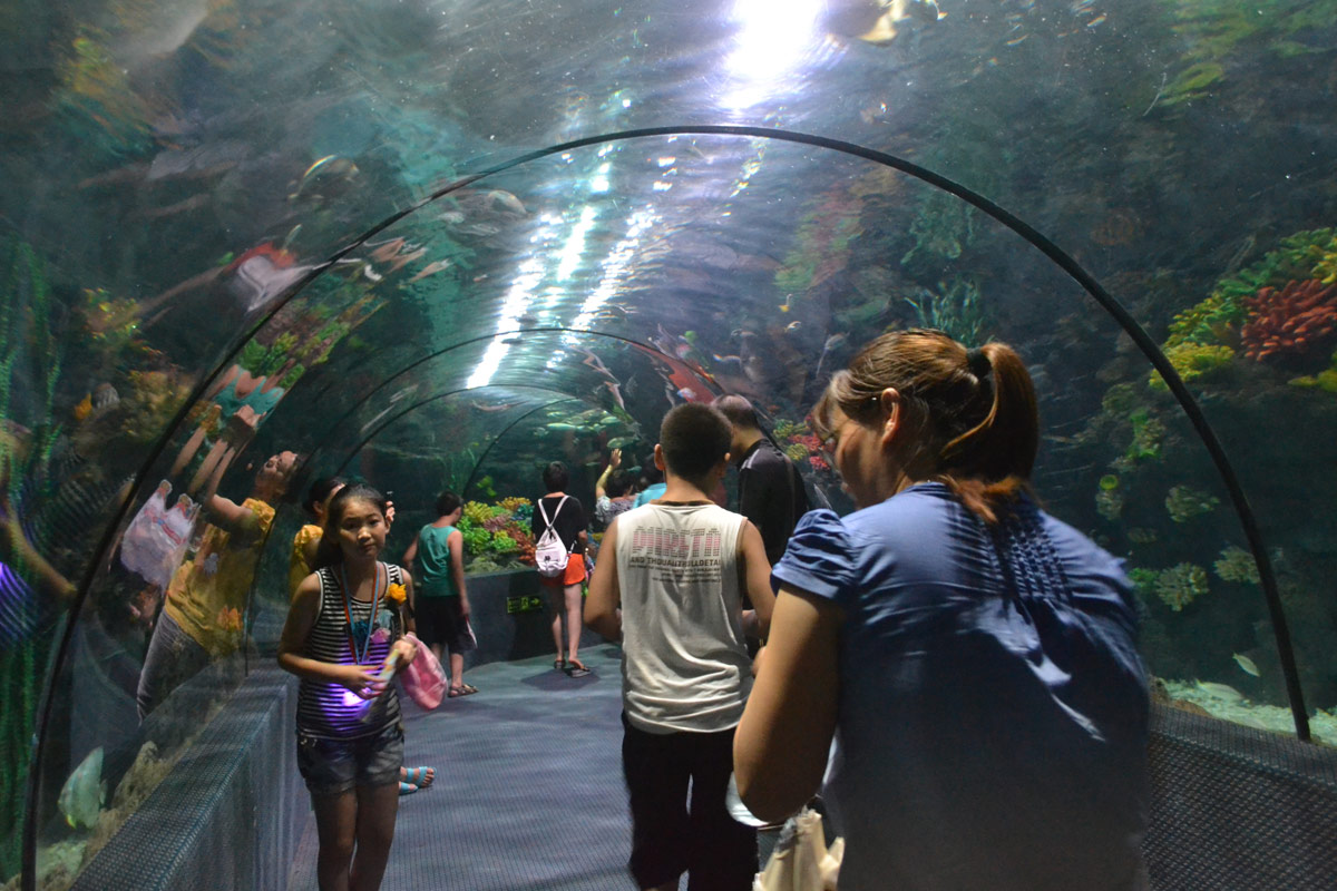 春節(jié)去哪兒？出游地圖告訴您！