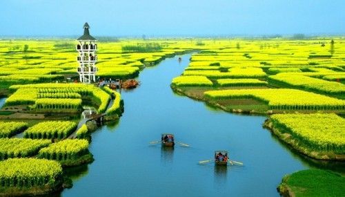 盤(pán)點(diǎn)全國(guó)13處絕美的油菜花觀賞地
