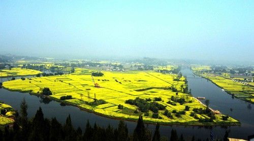 盤(pán)點(diǎn)全國(guó)13處絕美的油菜花觀賞地