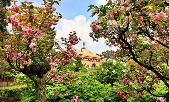 麻辣冬日二三五，芳菲三月看峨眉