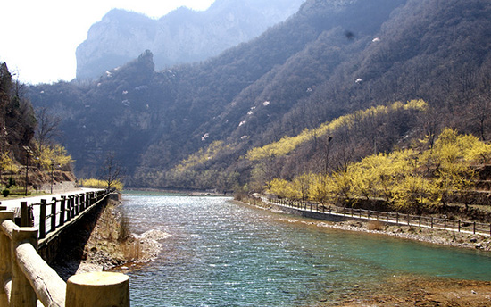 有一種呼喚，叫春天里的蟒河！