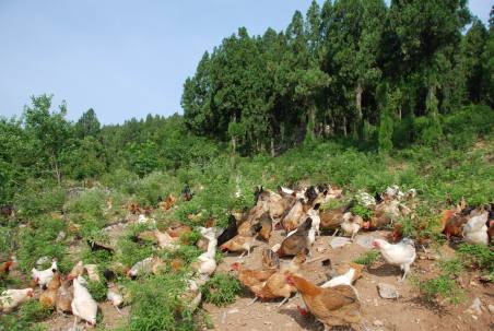 旅游真奇妙 這些事你知道嗎？