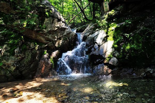 網羅河南避暑地 自駕組團兩相宜