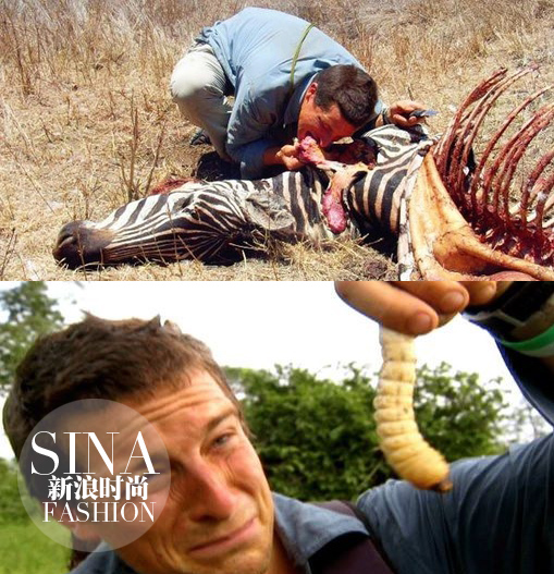 大型動物和肉蟲子……也都能生吞活剝！