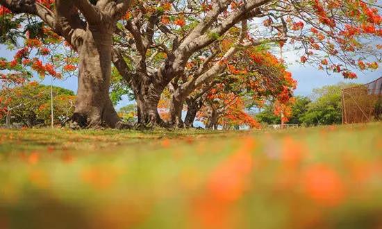 適合在冬天旅游的十個(gè)絕美海島！