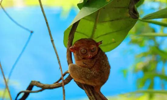適合在冬天旅游的十個(gè)絕美海島！