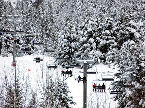 阿拉斯加，阿里耶斯卡