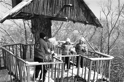 　　clubmed里有來自國外的滑雪教練教兒童滑雪?！? oldsrc=