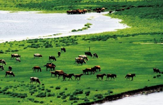 　　處處翠色欲流,馬兒自然入畫?！? complete=