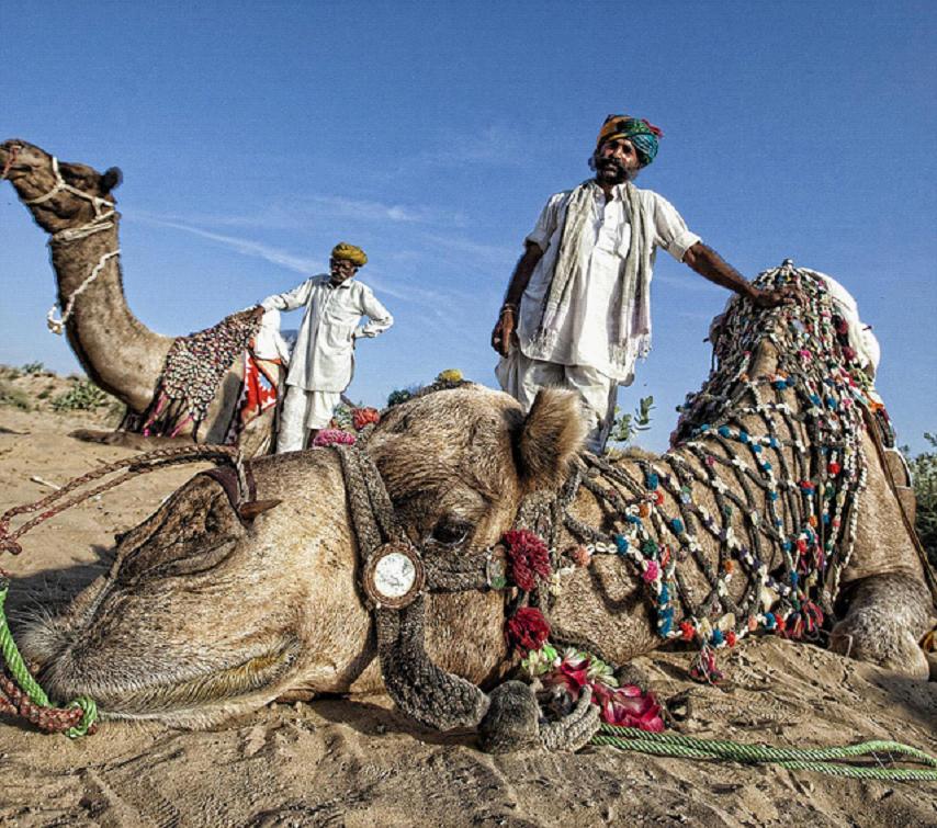 全家出國(guó)游去哪里？推薦十佳旅游勝地