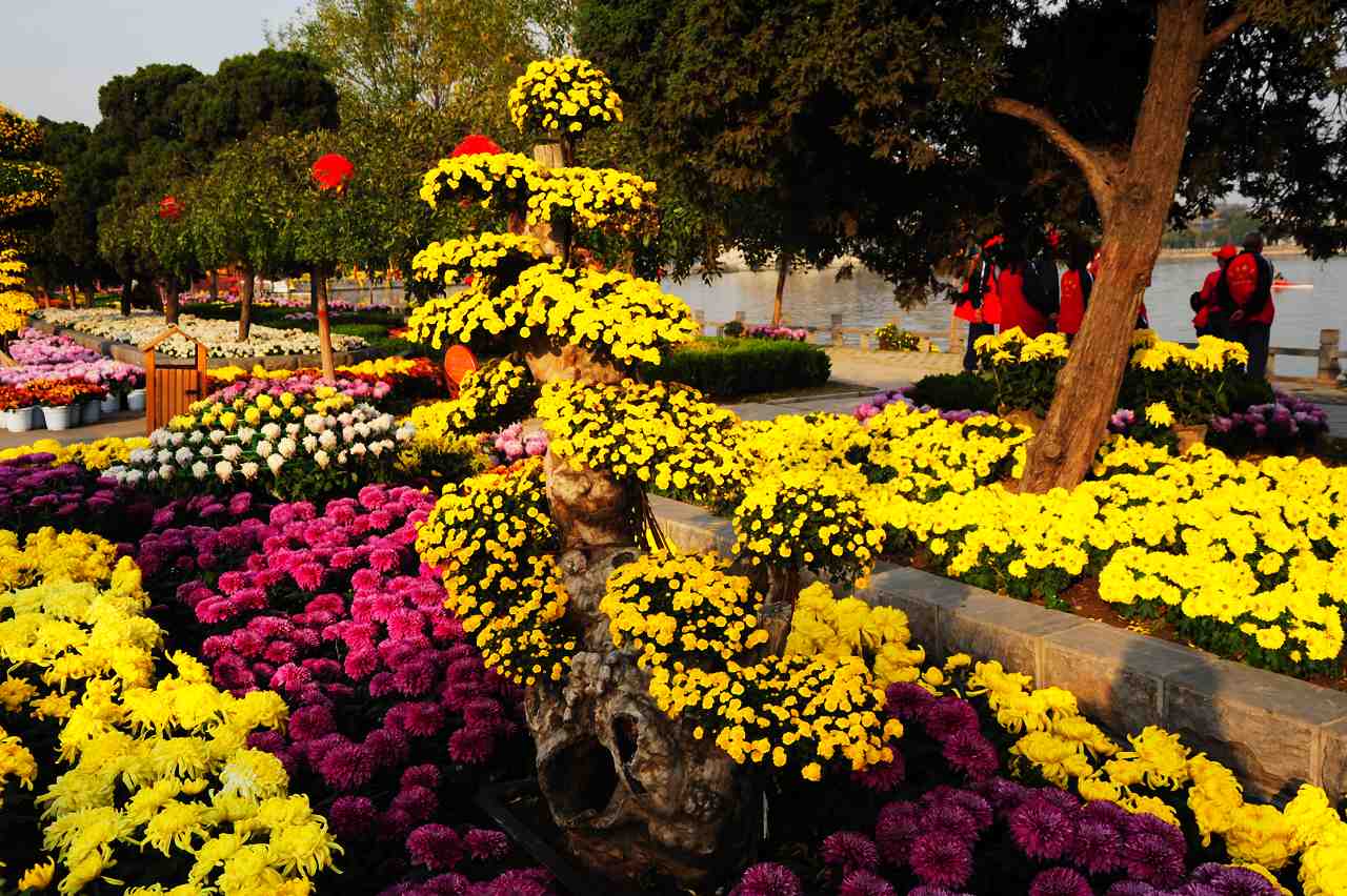 騎行開封最佳線路嗨到爆表 騎行開封最佳線路嗨到爆表