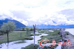 小路的一側(cè)是小溪,另一側(cè)是河流。