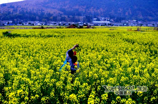 　　不論從人文氣息還是田園自然風(fēng)光,都值得我們?？俊?圖片來源:CFP)