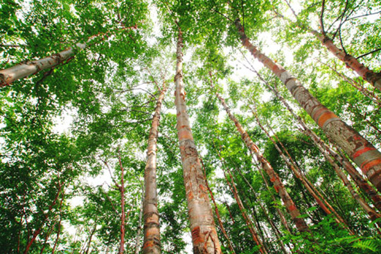 帶著媽媽去旅游 母親節(jié)河南景區(qū)感恩特惠 帶著媽媽去旅游 母親節(jié)河南景區(qū)感恩特惠