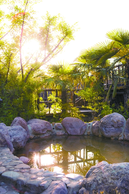 秋季來(lái)了又怎樣來(lái)花都溫泉戲水享優(yōu)惠