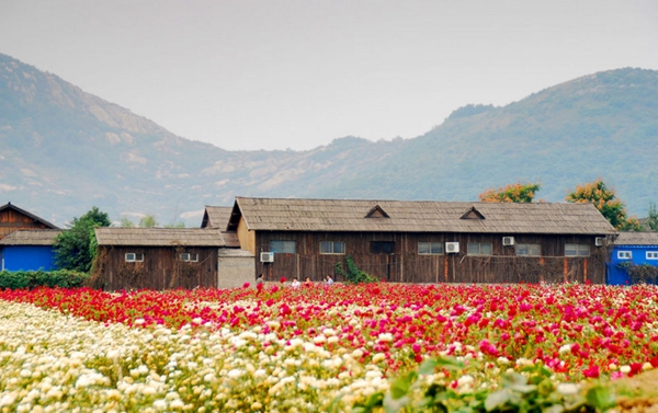 別樣蜜月，河南最適宜新婚度假的景區(qū)