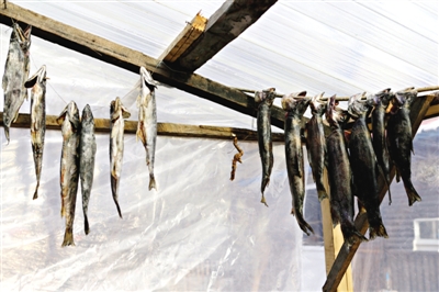 長白山腳下一家小餐館內(nèi)晾曬的冷水魚。