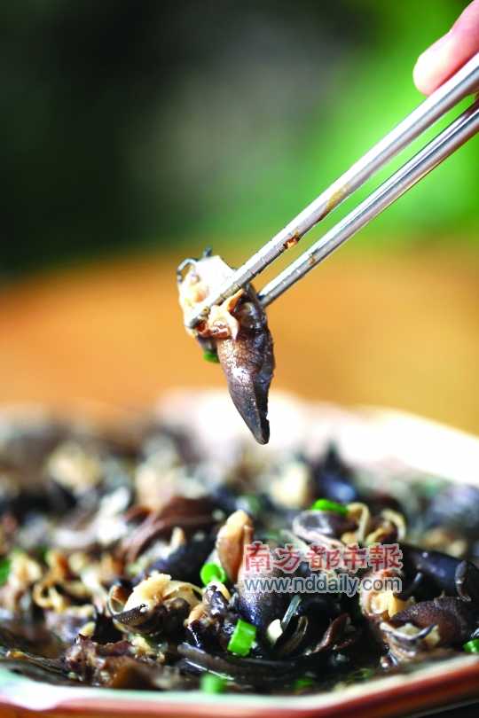 蒜蓉粉絲蒸蝸牛。