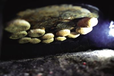 吊爐燒餅是黃驊最典型的面食之一，這種手藝在一些老院子里已經(jīng)傳承了上百年時(shí)間。