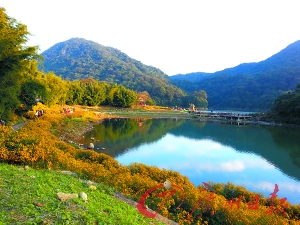 初冬的石門森林公園色彩絢爛。