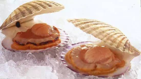 秋季最適合吃的海鮮是這10種 你吃對(duì)了嗎？