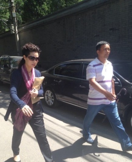 夢(mèng)鴿 夢(mèng)鴿