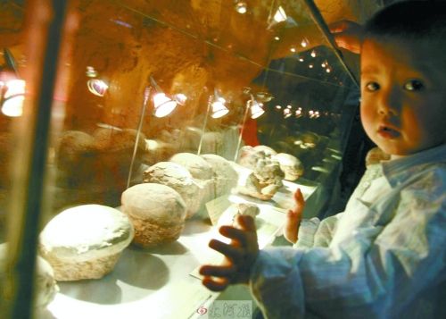 恐龍蛋，這回見識了吧！