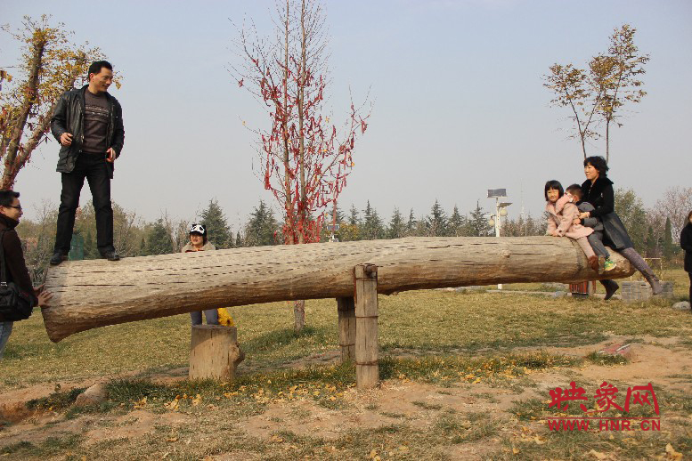 巨大的蹺蹺板，一棵樹。。?？赐娴亩噜? oldsrc=