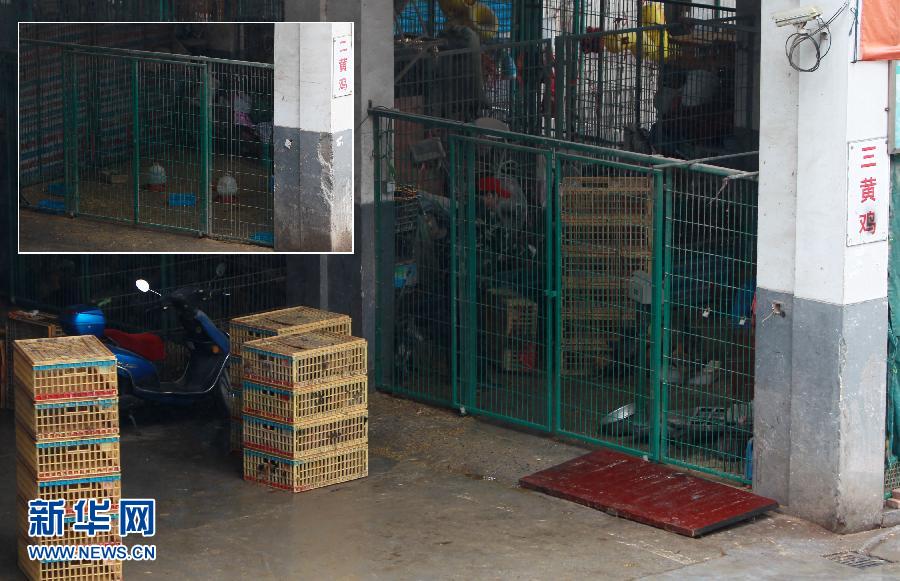上海6日起暫?；钋萁灰?關(guān)閉所有活禽交易市場(chǎng)