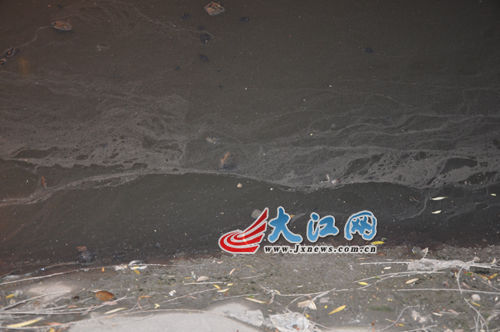 19日晚上的玉帶河，紅色河水變回灰綠色。