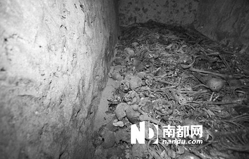 　5月29日，在以色列特拉維夫市雅法地區(qū)，一處集體墳?zāi)贡话l(fā)現(xiàn)。