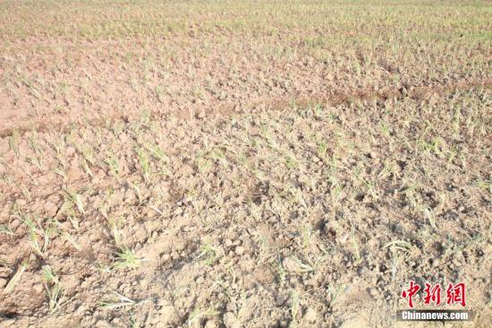 2014年7月31日早晨，浙江紹興市區(qū)蔬菜批發(fā)市場旁邊的土地已經(jīng)發(fā)生開裂。