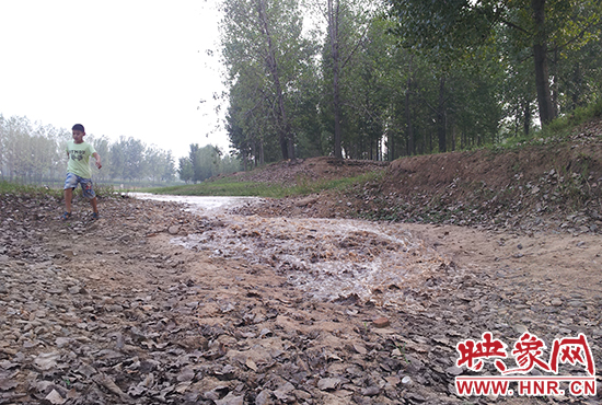 18日丹江水沿澎河流向白龜山水庫，孩子歡騰起來，跟著水頭奔跑。