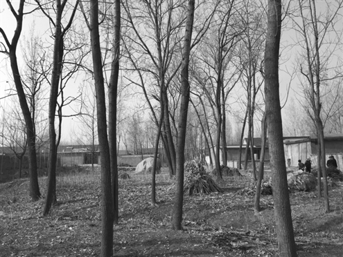 486臺兒莊戰(zhàn)役將士埋骨荒野 紀(jì)念設(shè)施或年內(nèi)落成 486臺兒莊戰(zhàn)役將士埋骨荒野 紀(jì)念設(shè)施或年內(nèi)落成