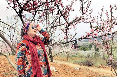 公式“時(shí)尚奶奶”的賞花照，收獲了好多人的點(diǎn)贊。 受訪者供圖