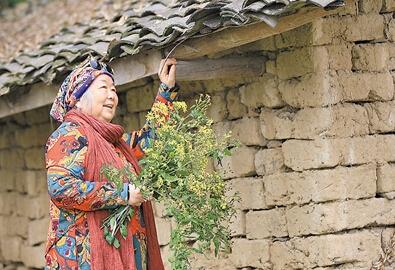 公式“時(shí)尚奶奶”的賞花照，收獲了好多人的點(diǎn)贊。 受訪者供圖