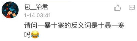 鶴立雞群？雞立鶴群！