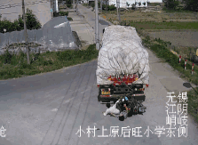 男子遭大貨車(chē)碾壓致死 監(jiān)控還原其生前最后10秒