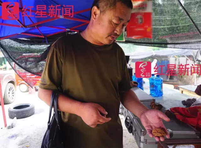 文玩核桃遇冷由幾萬(wàn)一對(duì)降到5元沒(méi)人要？商戶否認(rèn)