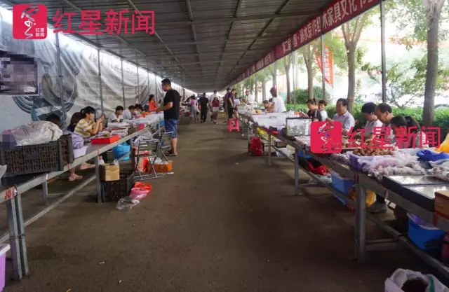 文玩核桃遇冷由幾萬(wàn)一對(duì)降到5元沒(méi)人要？商戶否認(rèn)