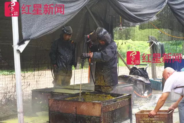 文玩核桃遇冷由幾萬(wàn)一對(duì)降到5元沒(méi)人要？商戶否認(rèn)