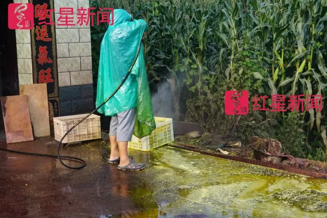 文玩核桃遇冷由幾萬(wàn)一對(duì)降到5元沒(méi)人要？商戶否認(rèn)