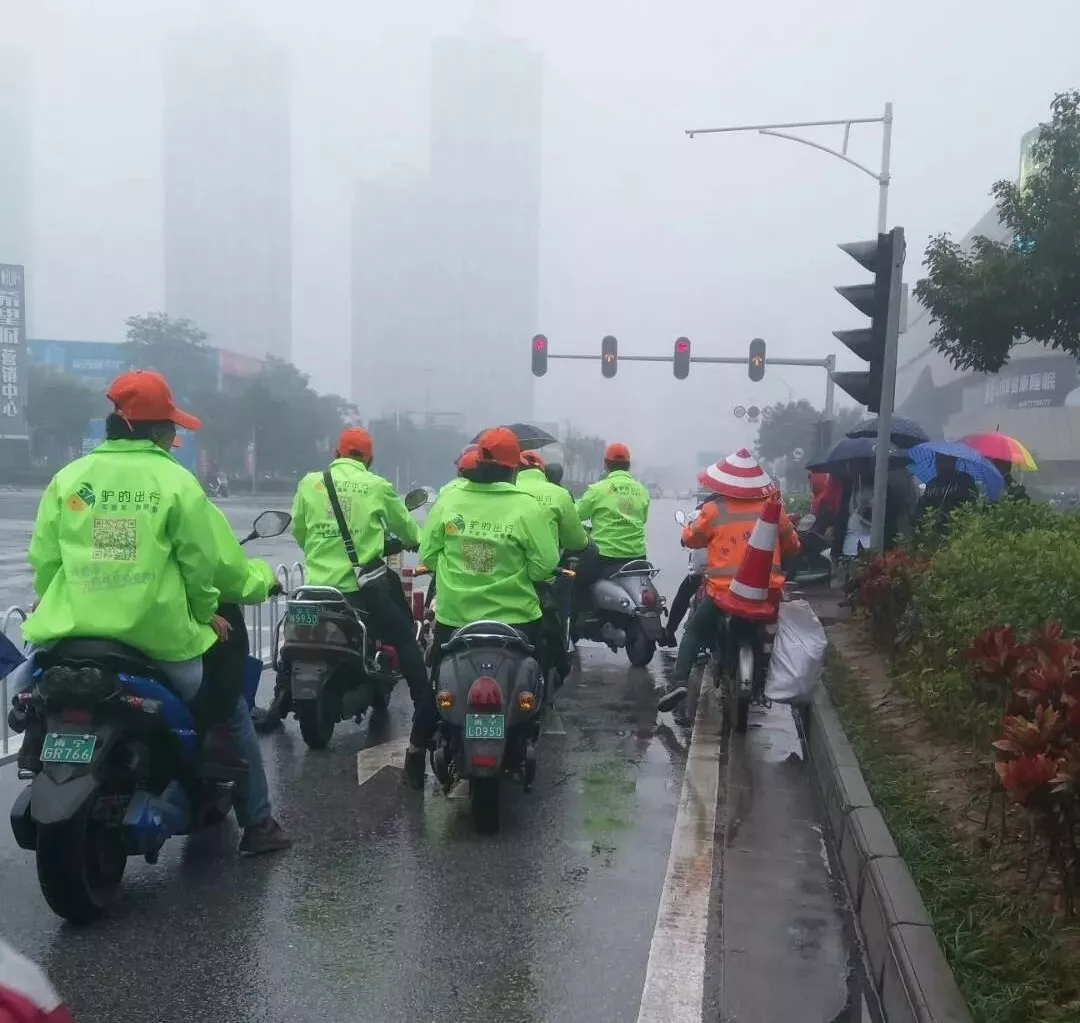 出門(mén)打驢？ 南寧“滴滴打驢”被緊急叫停