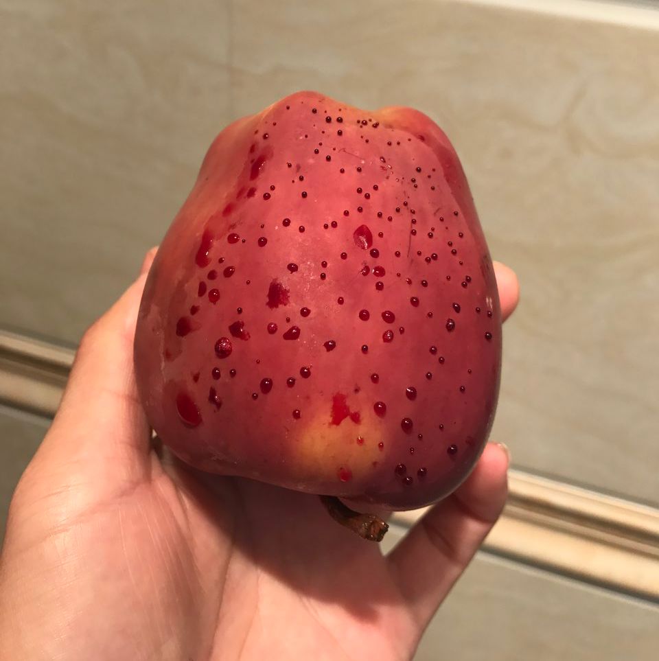 嚇懵！女子用熱水泡蘋果結(jié)果冒出血珠 咋回事？