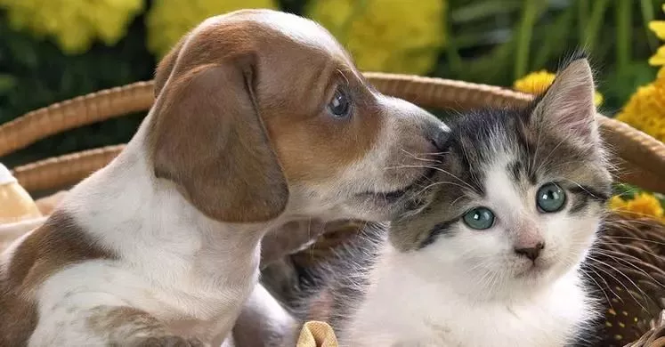 可憐！12歲女孩右眼完全失明 只因平時(shí)有這愛(ài)好