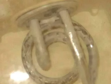 太惡心！女游客竟用酒店燒水壺煮自己的臟內(nèi)褲