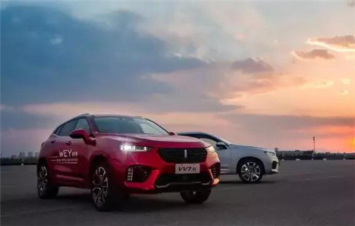 去年“蹦”出來的新汽車品牌們，現(xiàn)在活得怎么樣了？