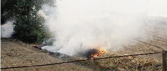 鄭州深陷“霾”伏   都是燒秸稈惹的禍？