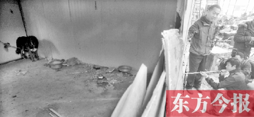 12月4日，鄭州市未來路與隴海路交叉口西側(cè)，執(zhí)法人員用吹管麻醉針對付一只藏獒